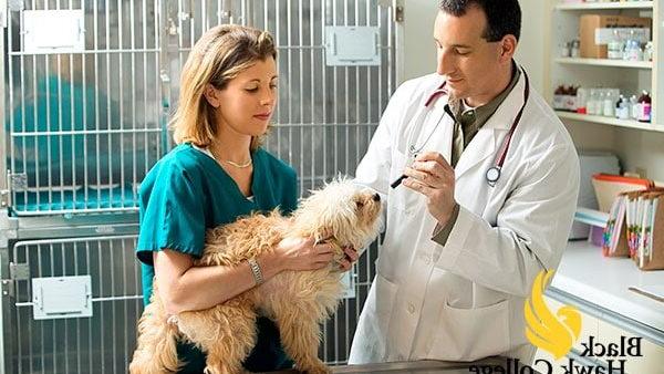 people holding a dog